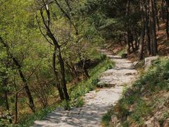 -北京鹫峰国家森林公园