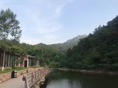 -欢乐松鼠谷