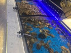 -川骄海鲜自助(河东店)