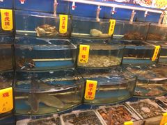 -渔中舟海鲜大排档(普陀沈家门店)