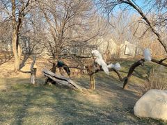 -北京野生动物园