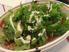 -油梨树 AVOCADO TREE(亮马桥店)