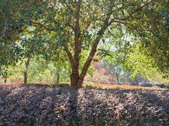 -敬亭山风景名胜区