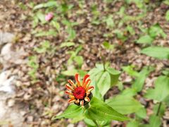 -丹东天桥沟景区