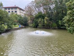 -峙山公园