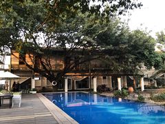 -喜洲吧·江畔老船厂·庭院餐厅(喜临院店)