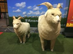 -金穗园·砂锅粥.醉鸡煲火锅(长寿路店)