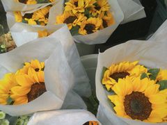 -循礼门鲜花花市(武汉循礼门店)