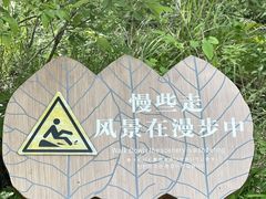 -洛阳白云山景区