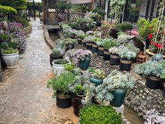 -山菌美食苑(振兴路店)