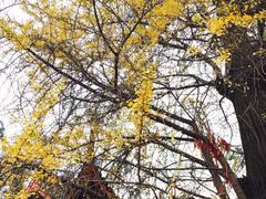 -金堂县云顶石城风景区