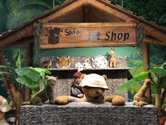 -济州岛泰迪熊博物馆