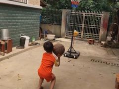 -东方启明星篮球培训(击掌校区)