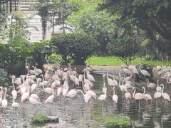 -九龙公园