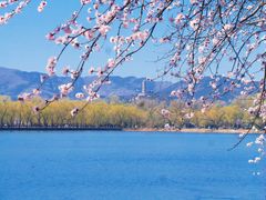 -颐和园-景明楼