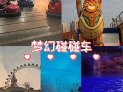 -海合安武汉极地海洋公园