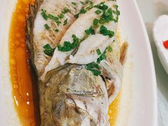 -大鸿运酒店·苏州菜·松鼠桂鱼(观前街店)