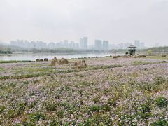 -滨湖塘西河公园