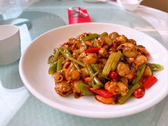 辣炒小扇贝-双井轩(双井店)