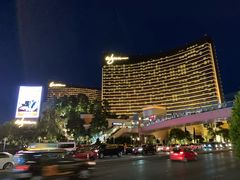 -拉斯维加斯永利酒店