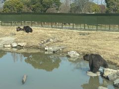 -上海野生动物园