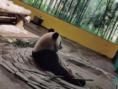 -杭州野生动物世界