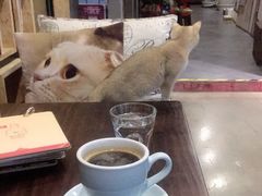 -咖法森林·咖啡  酒吧(天河店)