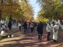 -辽宁大学(崇山校区)