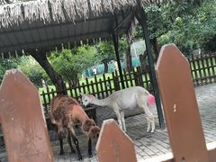 -西安秦岭野生动物园