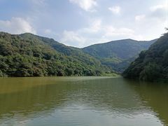 -黄埔油麻山森林公园