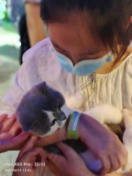 -酷嗒动物文化乐园(cutezoo西溪乐天城店)