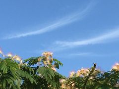 -宁波浙东大竹海景区