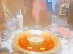 -哥老官重庆美蛙鱼头(圆融广场店)
