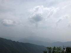 -王顺山国家森林公园