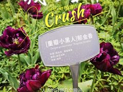 -国家植物园