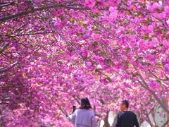 -白沙门生态公园