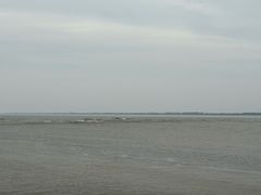 -观潮胜地公园