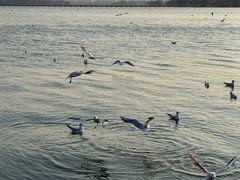-云龙湖旅游景区