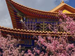 -崇圣寺三塔文化旅游区