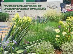 -翠贝卡&Mama Kelly Brunch Coffee(河西店)