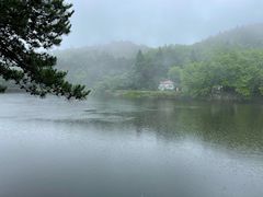 -庐山风景区花径公园