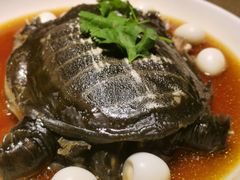 干蒸甲鱼-天福苑(崇宁路店)