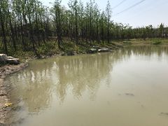 -长田漾湿地公园