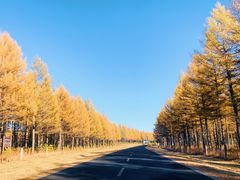 -塞罕坝国家级自然保护区