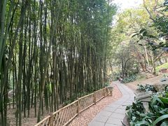 -广州兰圃
