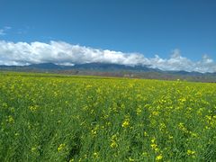 -扁都口生态休闲旅游区