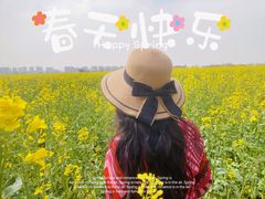 -汉长安城未央宫国家考古遗址公园