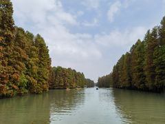 -上海海湾国家森林公园