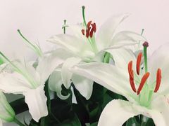 -小厨娘淮扬菜(清江苏宁广场店)