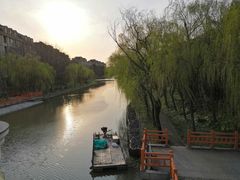 -高东镇樱花园